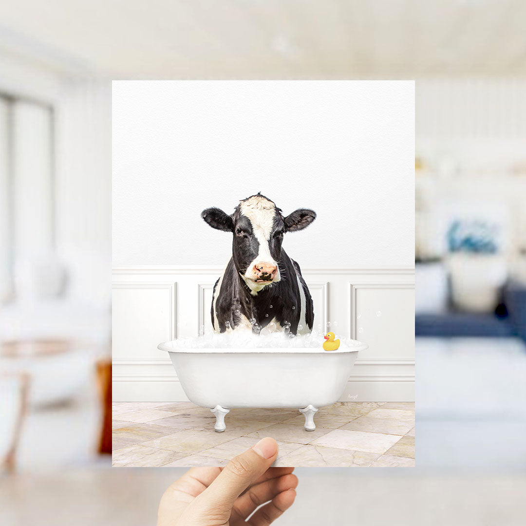 A black and white cow is sitting in a white bathtub filled with water, with a yellow rubber duck floating in the tub.