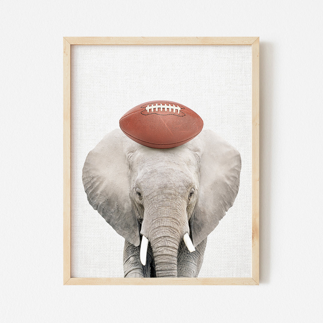 a picture of an elephant with a football on its head