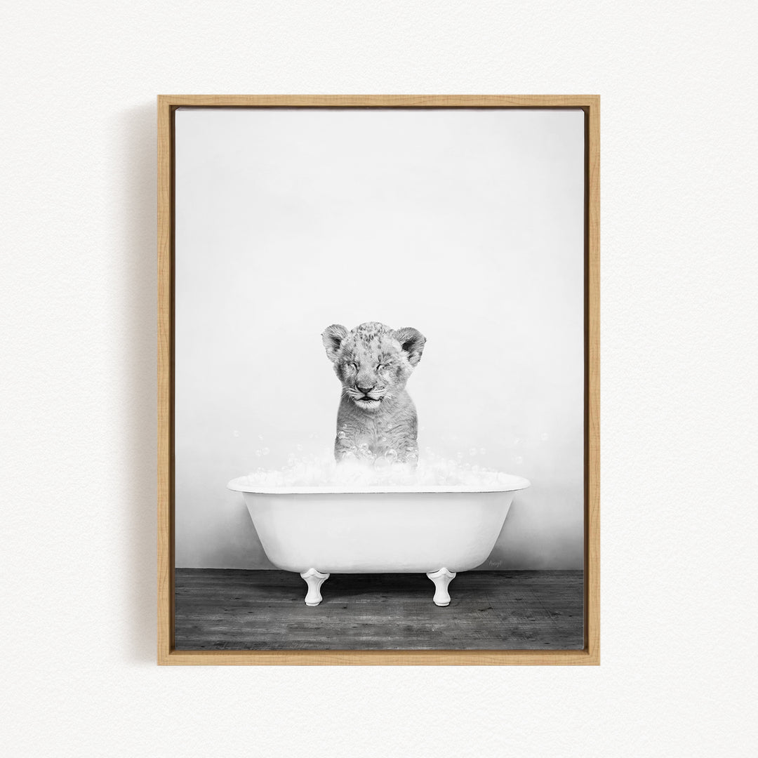 A young lion cub sitting in a white bathtub filled with water, looking directly at the camera.