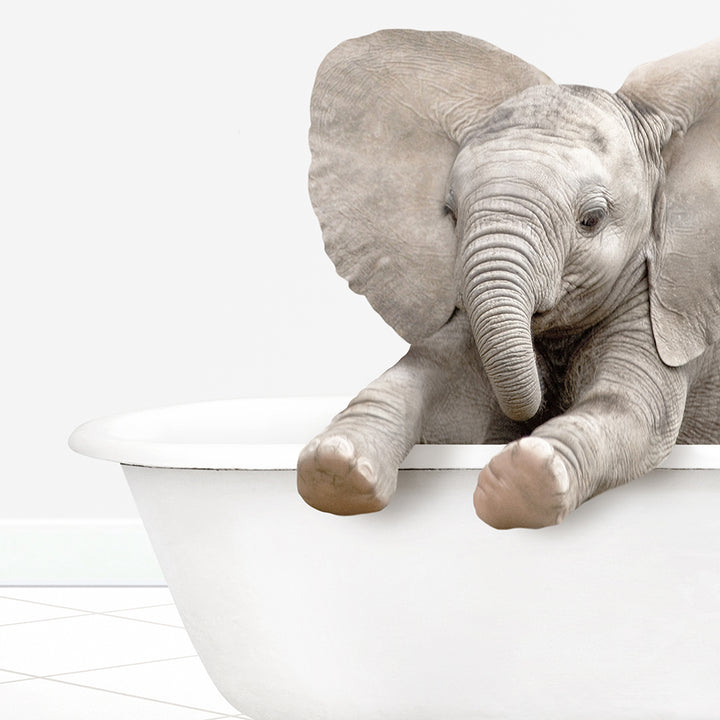 a baby elephant is sitting in a bathtub