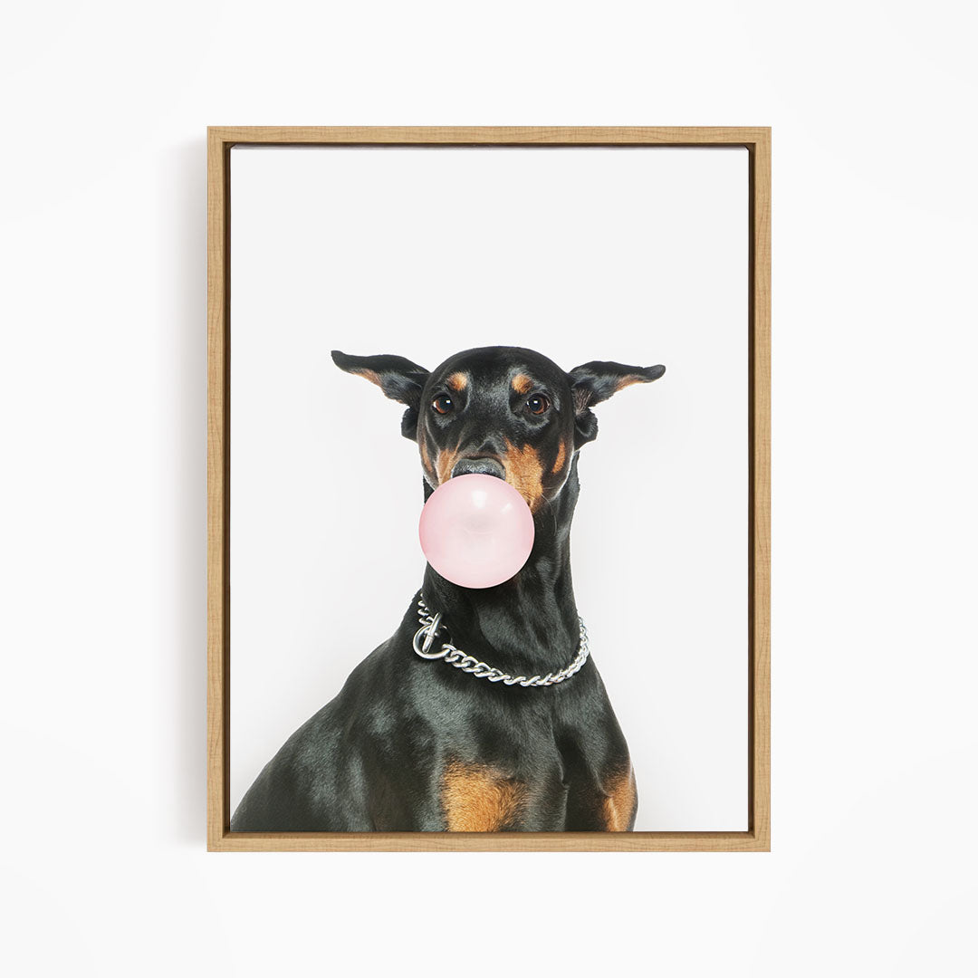 A black and tan dog wearing a silver chain collar is blowing a pink bubble with its mouth, creating a playful and whimsical scene.