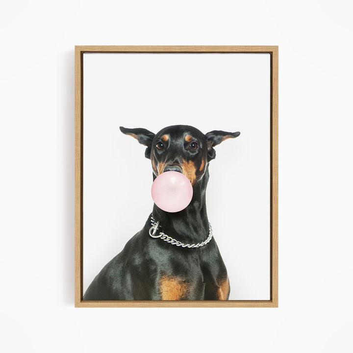 A black and tan dog wearing a silver chain collar is blowing a pink bubble with its mouth, creating a playful and whimsical scene.