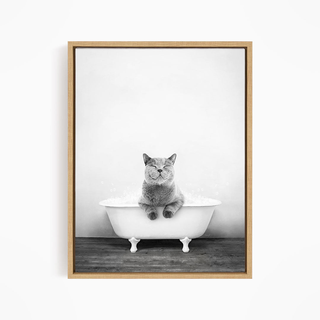 A gray cat sitting in a white bathtub, with its eyes closed and appearing to be enjoying the bath.