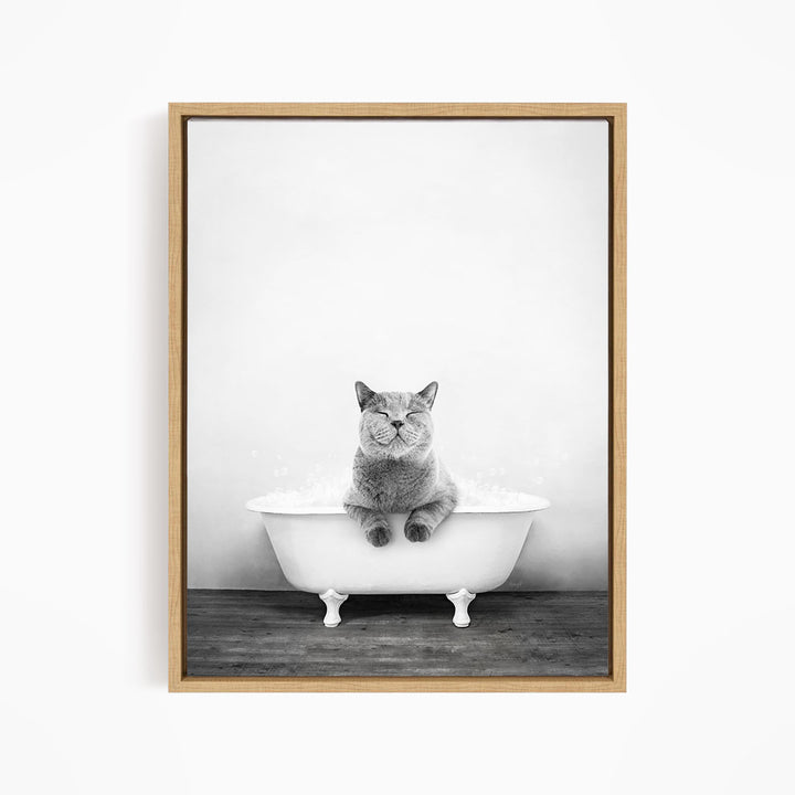A gray cat sitting in a white bathtub, with its eyes closed and appearing to be enjoying the bath.