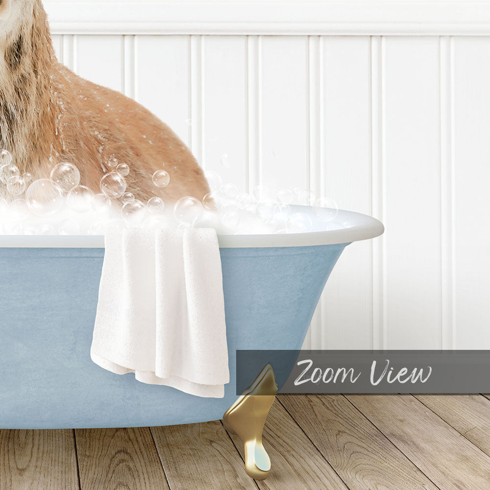 A cat sitting in a blue bathtub filled with bubbles, with a towel draped over the side and a "Zoom View" label below the image.