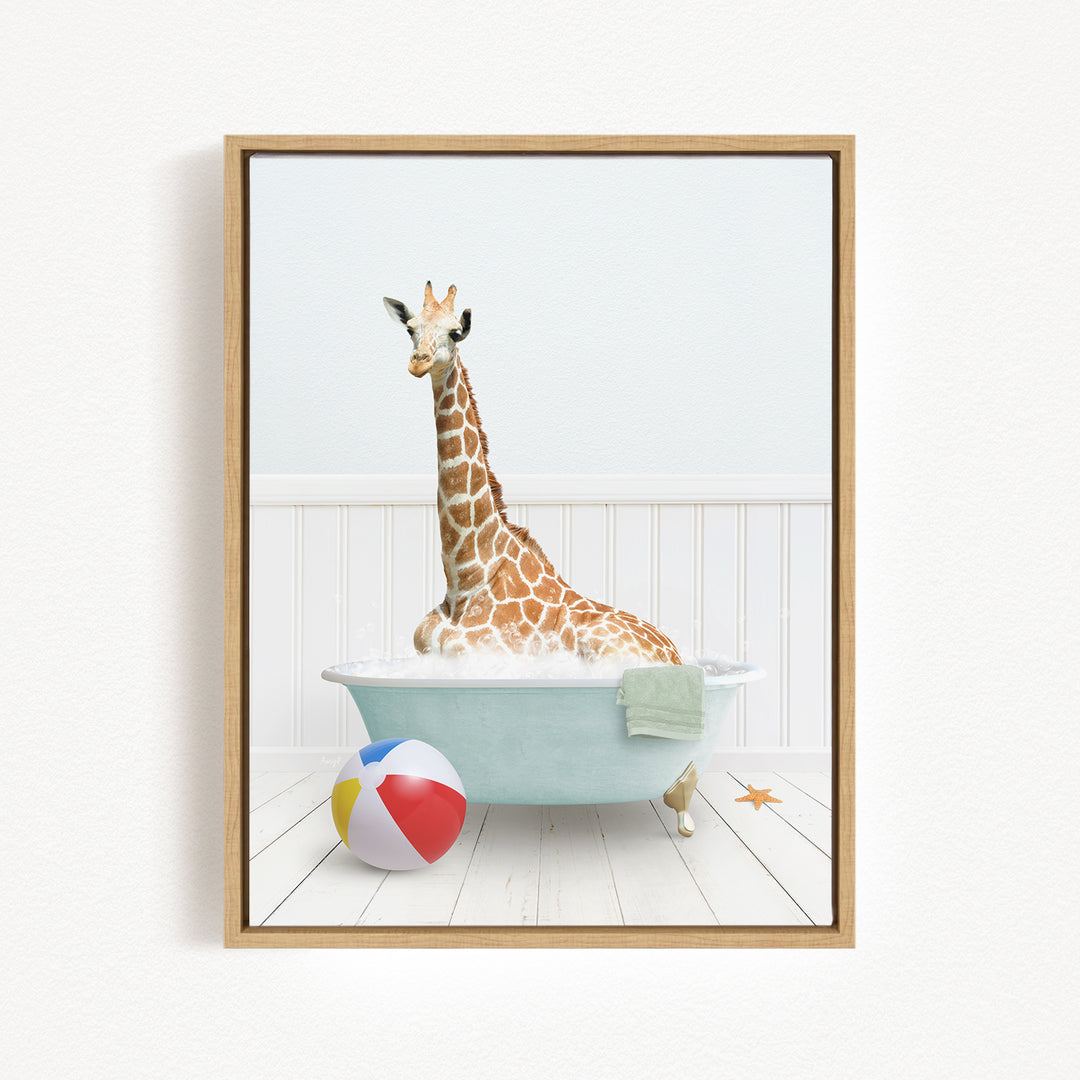 A giraffe sitting in a bathtub filled with water, surrounded by a beach ball and towel.
