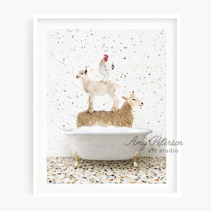 a goat and a sheep on top of a bathtub