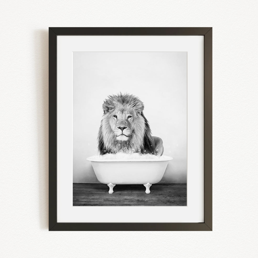A black and white photograph of a lion sitting in a bathtub filled with water.