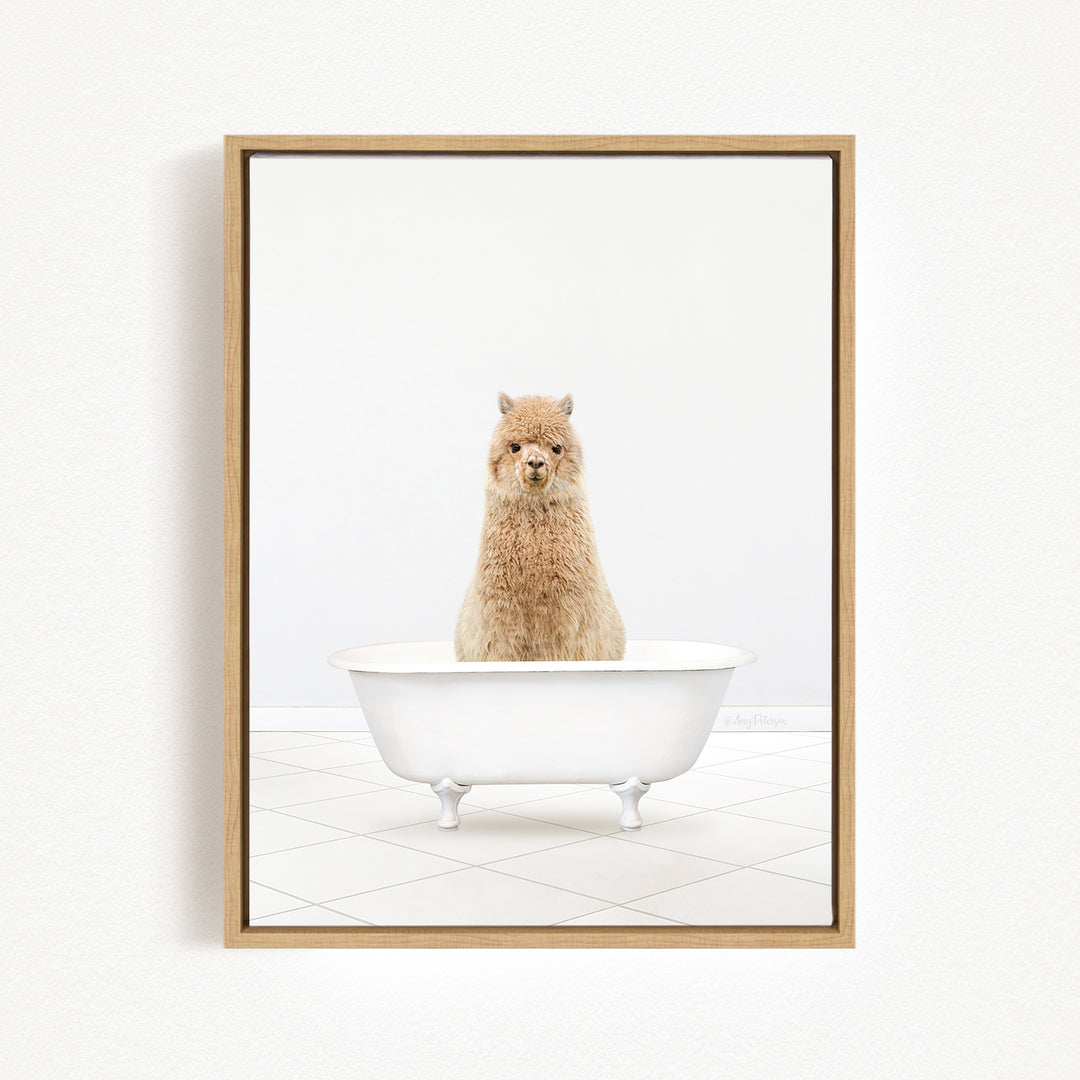 A fluffy brown llama sits in a white bathtub, looking directly at the camera.