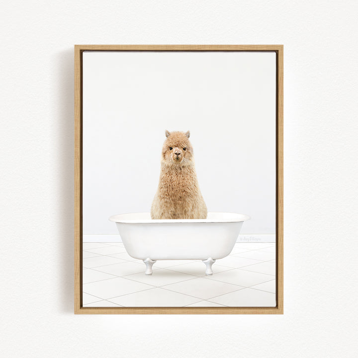 A fluffy brown llama sits in a white bathtub, looking directly at the camera.