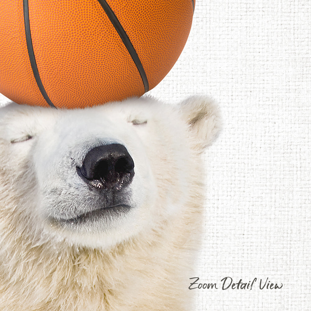 A polar bear resting its head on a basketball, with the text "Zoom Detail View" at the bottom.