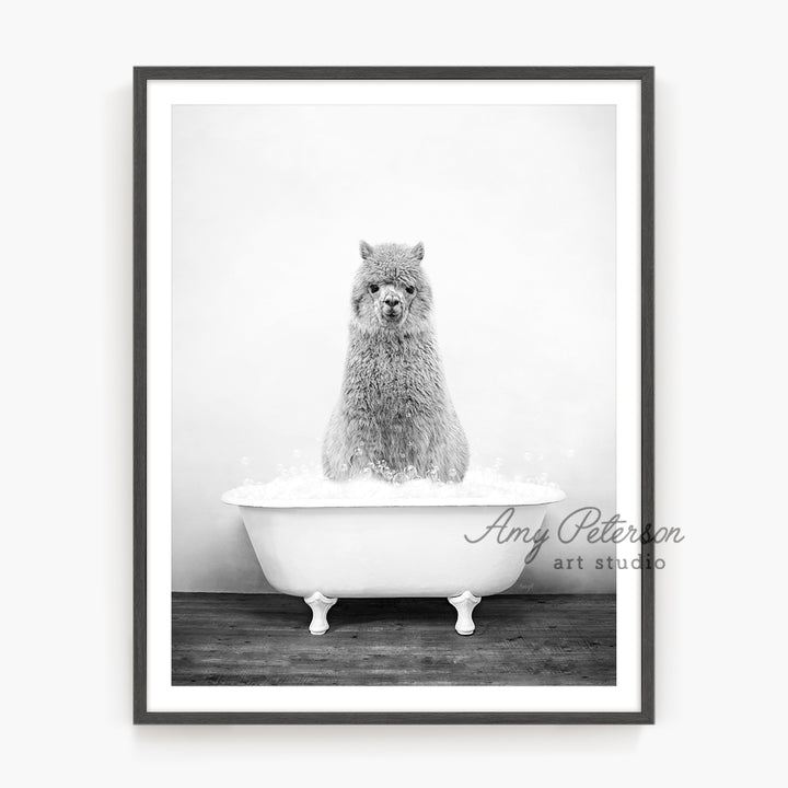 a black and white photo of a bear in a bathtub