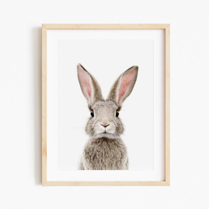 a framed picture of a rabbit's face
