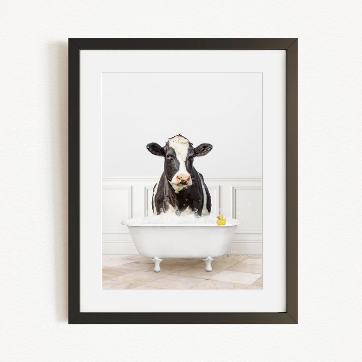 A black and white cow is sitting in a white bathtub filled with water, with a yellow rubber duck floating in the tub.
