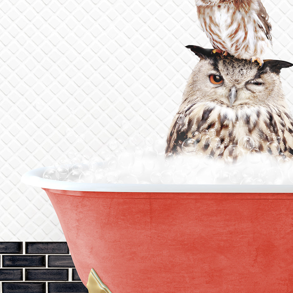 an owl sitting on top of a bath tub