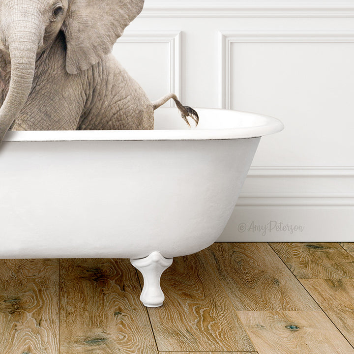 A large elephant is sitting in a white bathtub, with its trunk curled around the edge of the tub.