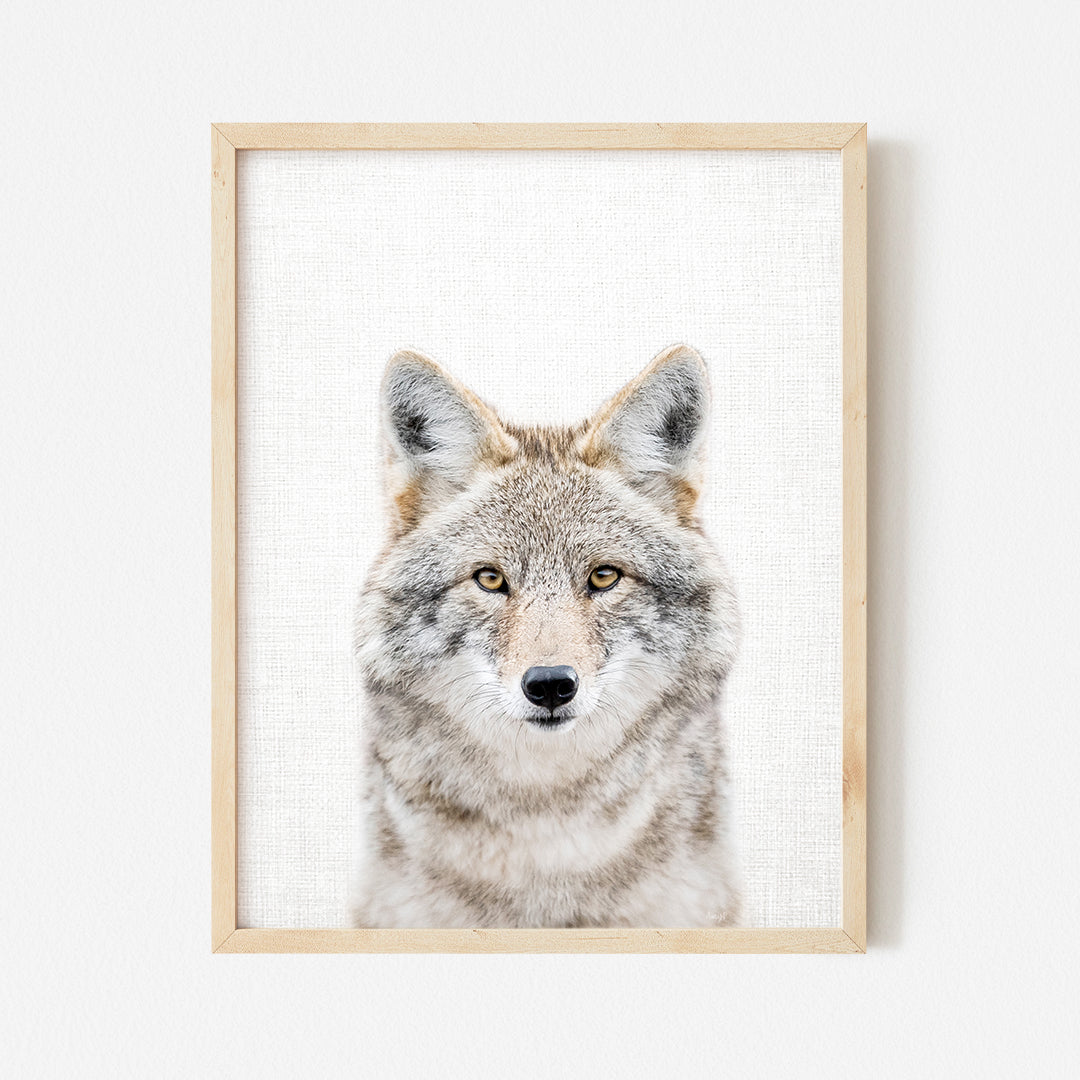 a picture of a wolf in a wooden frame