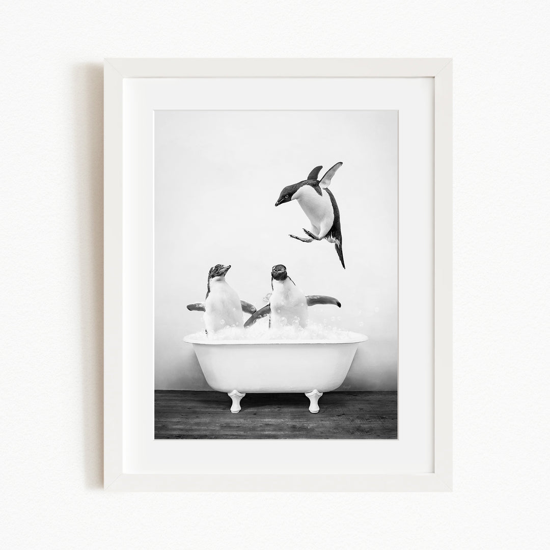 A black and white photograph of three penguins in a bathtub, with one penguin flying towards the others.