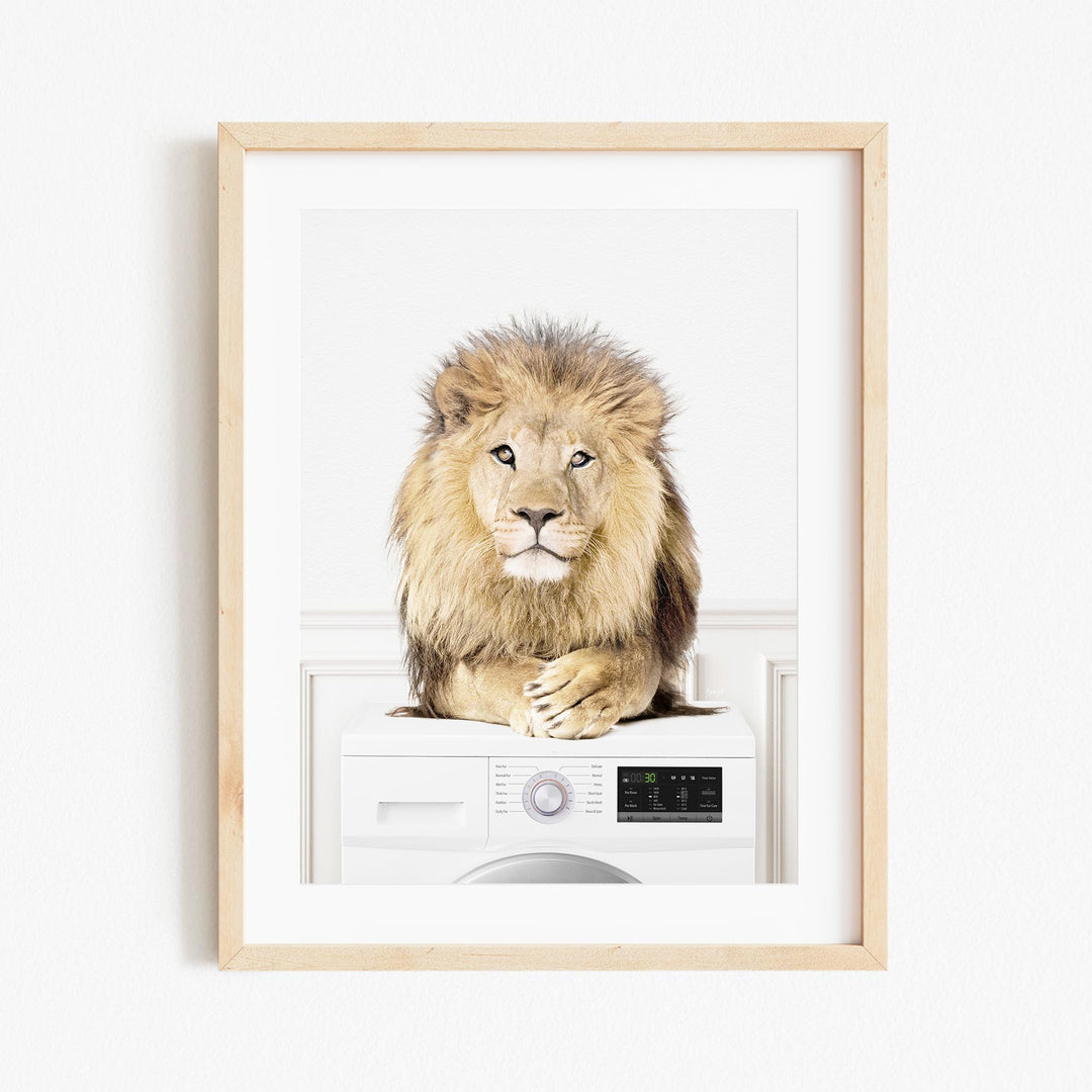 a picture of a lion sitting on top of a washing machine