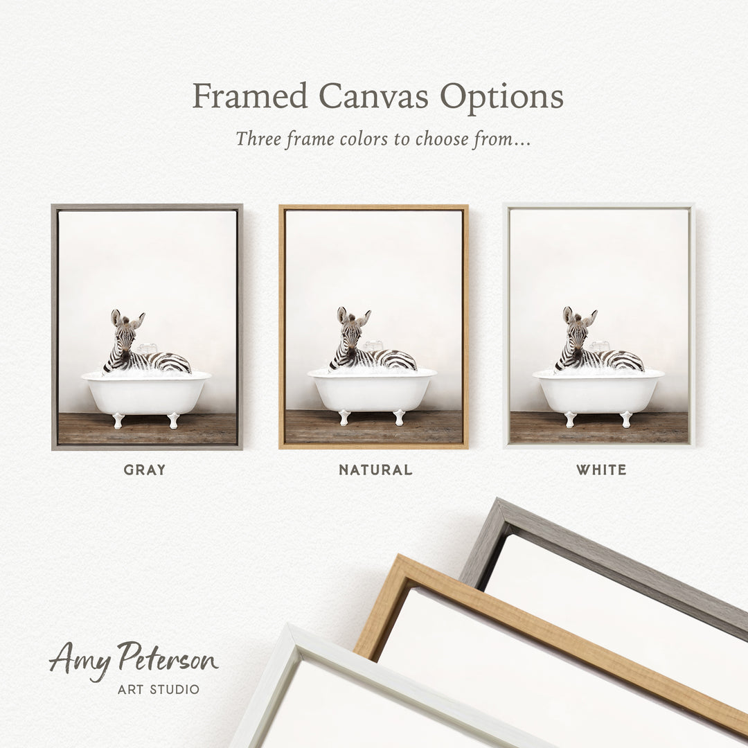 three framed canvas options, each featuring a zebra sitting in a bathtub. The options include a gray frame, a natural frame, and a white frame.