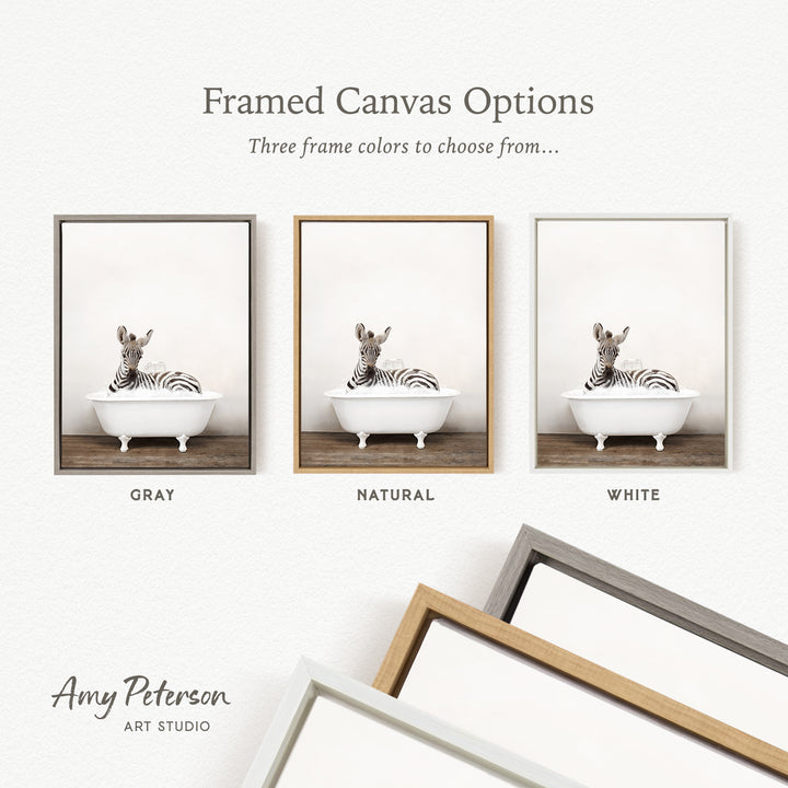 three framed canvas options, each featuring a zebra sitting in a bathtub. The options include a gray frame, a natural frame, and a white frame.