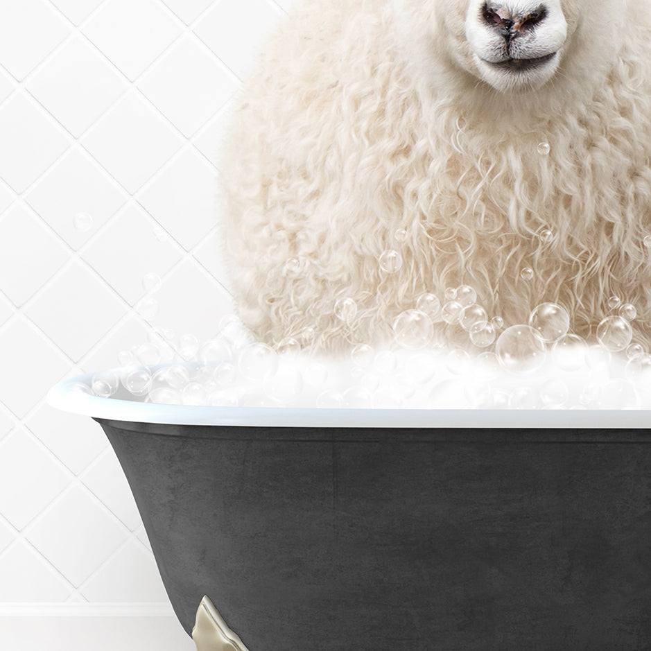 a sheep is sitting in a bathtub full of bubbles