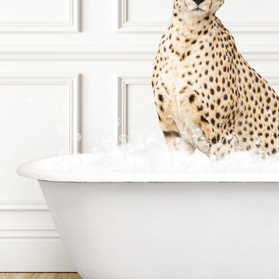 a cheetah sitting on top of a bathtub filled with foam