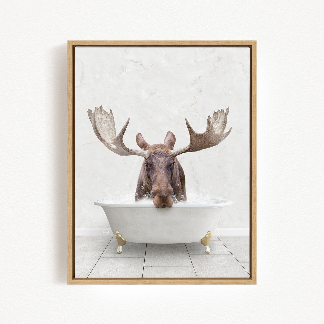 A moose with large antlers is sitting in a white bathtub, appearing to enjoy a relaxing soak.