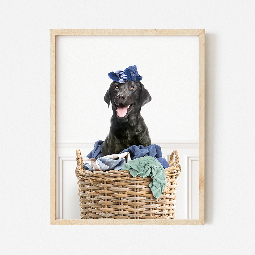 a black dog sitting in a basket with clothes