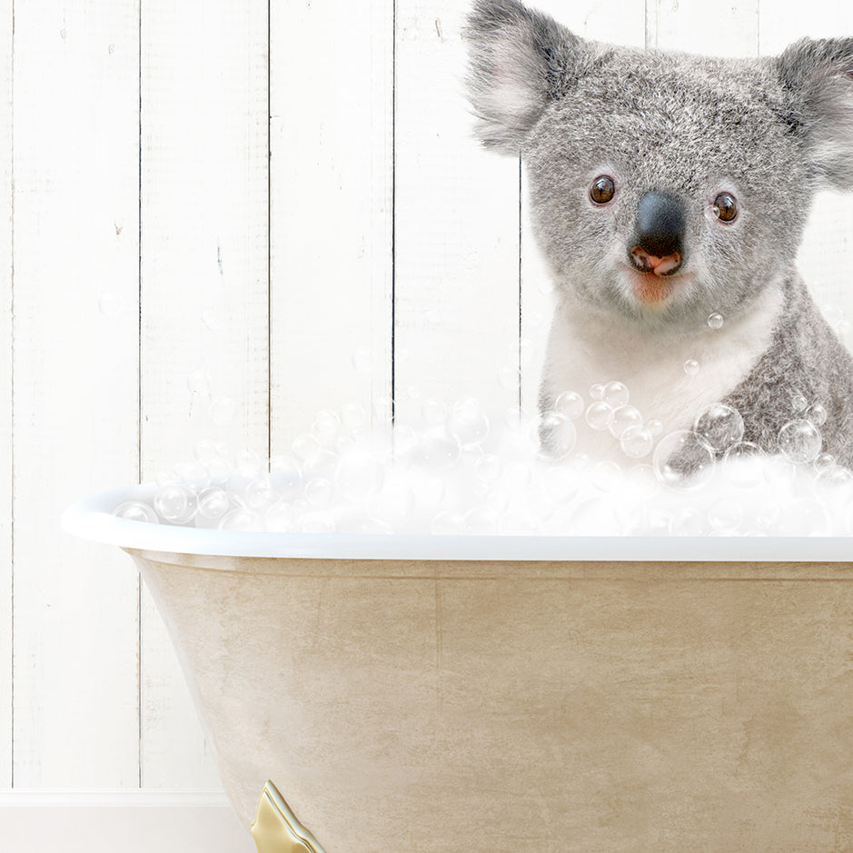 a koala is sitting in a bathtub with bubbles