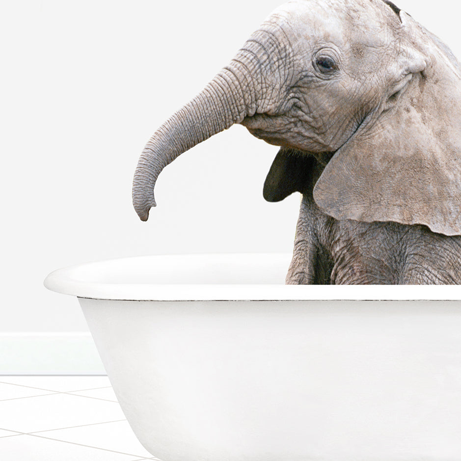 a baby elephant is sitting in a bathtub