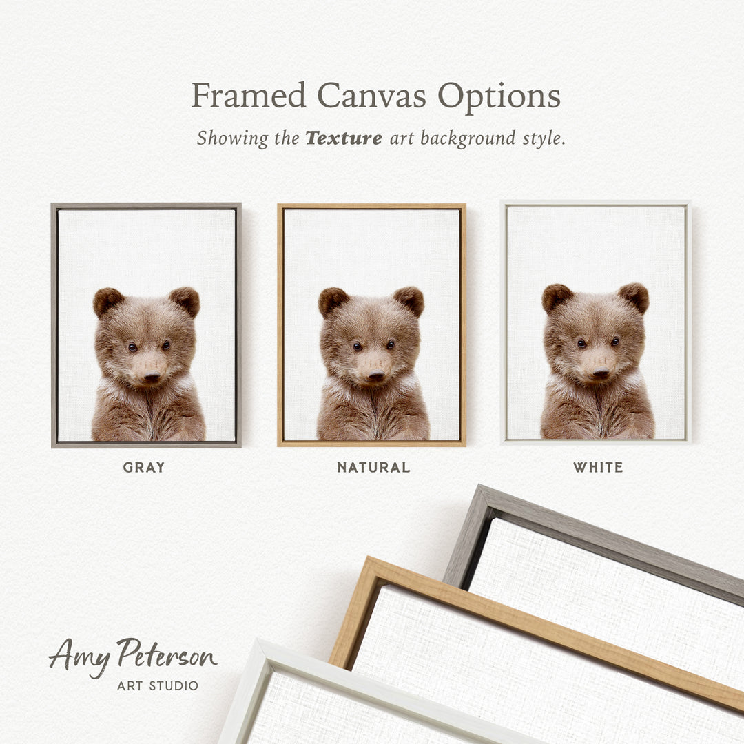 three framed canvas options, each featuring a brown bear in a different background color: gray, natural, and white. The text above the images reads " Framed Canvas Options" and "Showing the Texture art background style." The text below the images reads "Grays," "NATURAL," and "WHITE." The artist's name, " Amy Peterson," is also included in the image.