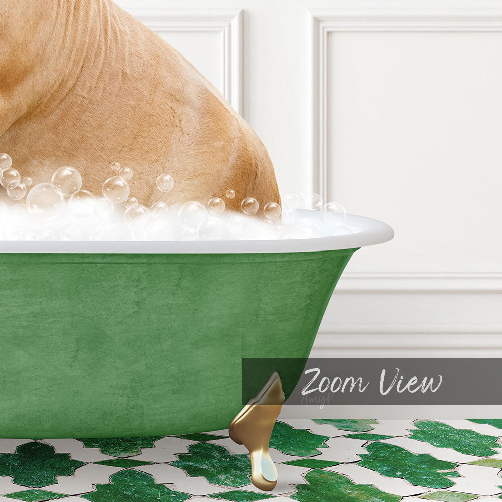 A dog is sitting in a green bathtub filled with bubbles, with a gold faucet and a white wall in the background.