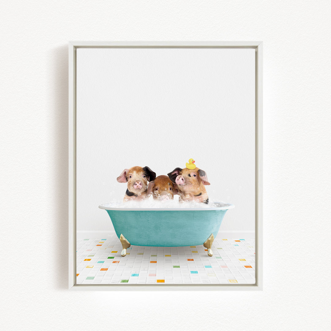 Three adorable pigs sitting in a blue bathtub, with one of them wearing a yellow hat.