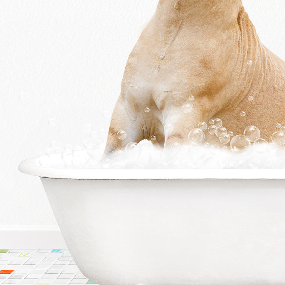 a dog sitting in a bathtub full of bubbles