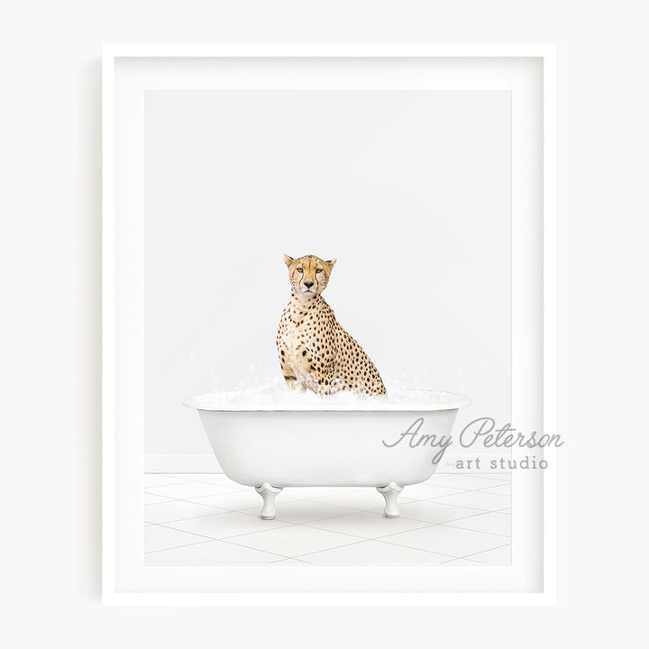 a picture of a cheetah sitting in a bathtub