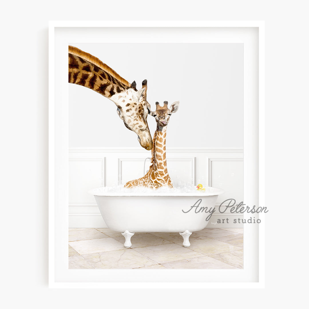 two giraffes sticking their heads into a bathtub