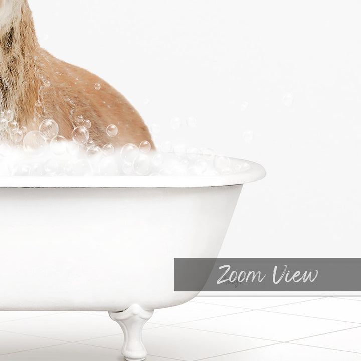 A dog is sitting in a white bathtub filled with bubbles, enjoying a relaxing bath.