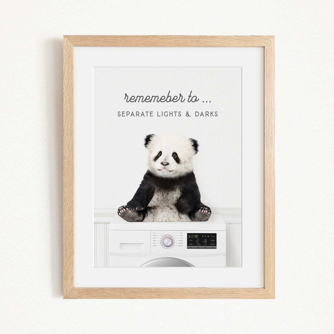 A panda bear sitting on a washing machine, with the text "Remember to... Separate Lights & Darks" displayed above the image.