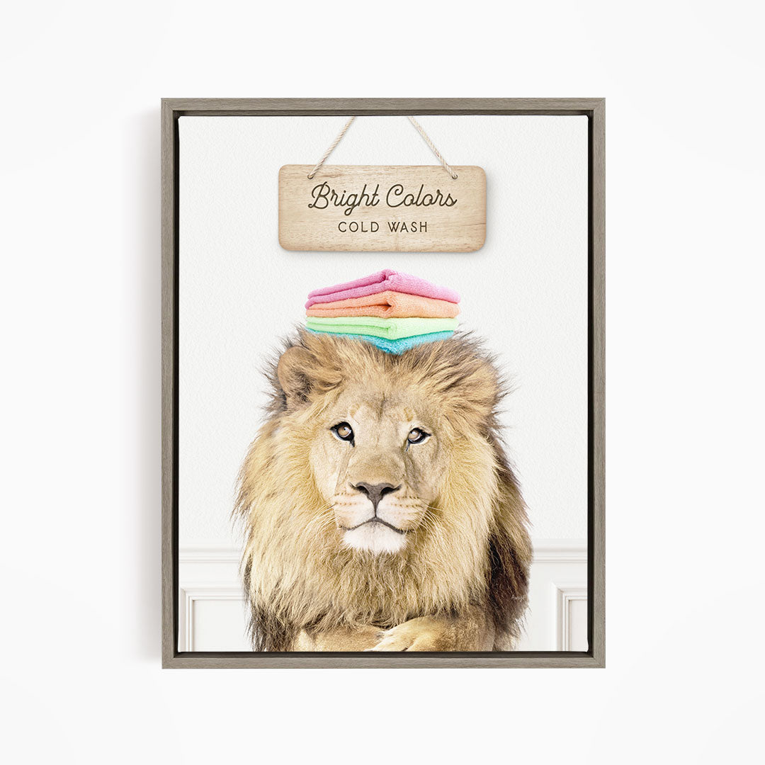 A framed image of a lion with a sign above it that says "Bright Colors Cold Wash".