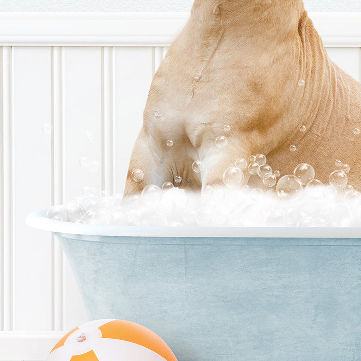 a dog sitting in a bathtub with bubbles