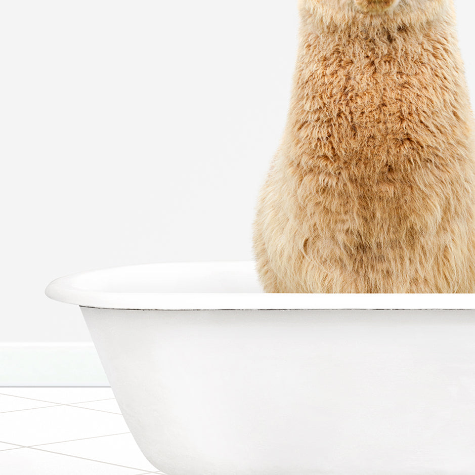 a very cute furry animal sitting in a bathtub