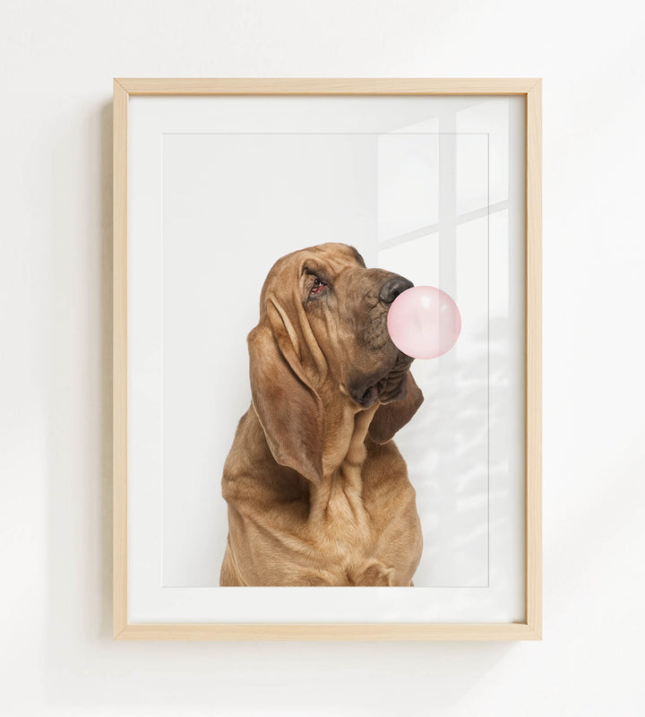 A brown dog is blowing a pink bubble with its mouth, looking up at the camera.