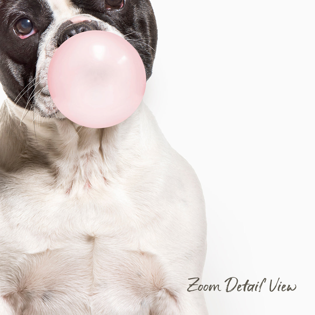 A dog is blowing a bubble with a pink bubble gum bubble, with its eyes closed and mouth open.