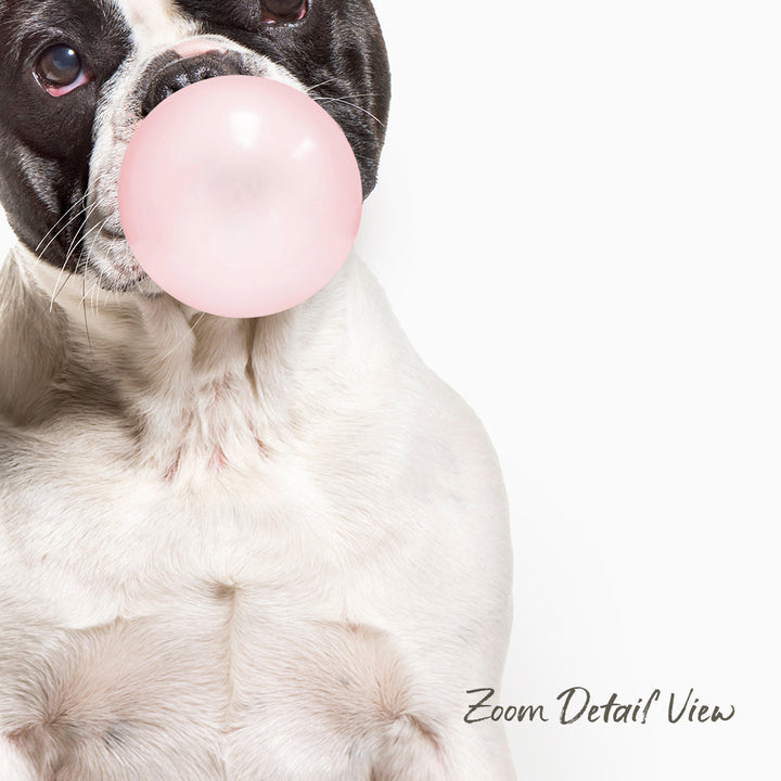 A dog is blowing a bubble with a pink bubble gum bubble, with its eyes closed and mouth open.
