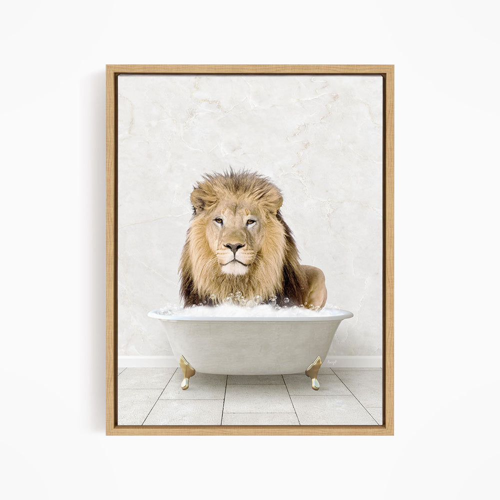 A lion sitting in a white bathtub filled with water, looking directly at the camera.