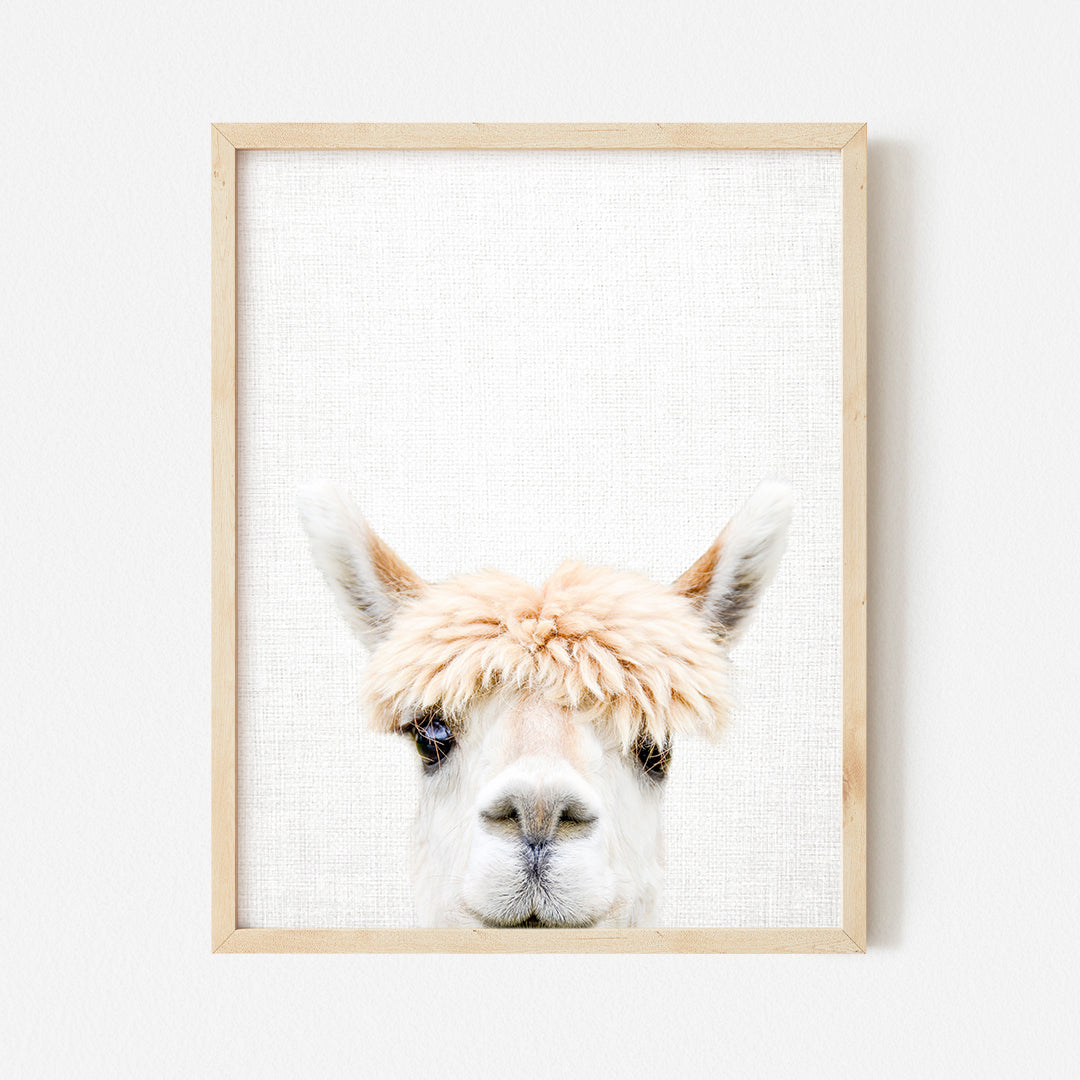 a picture of a llama's face in a wooden frame