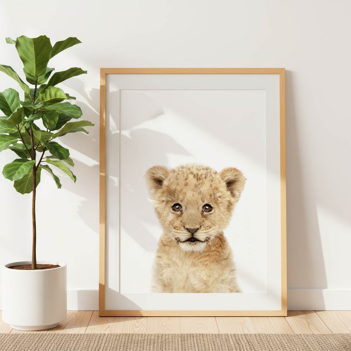 A framed photograph of a young lion cub is displayed on a white wall, with a potted plant to the left.