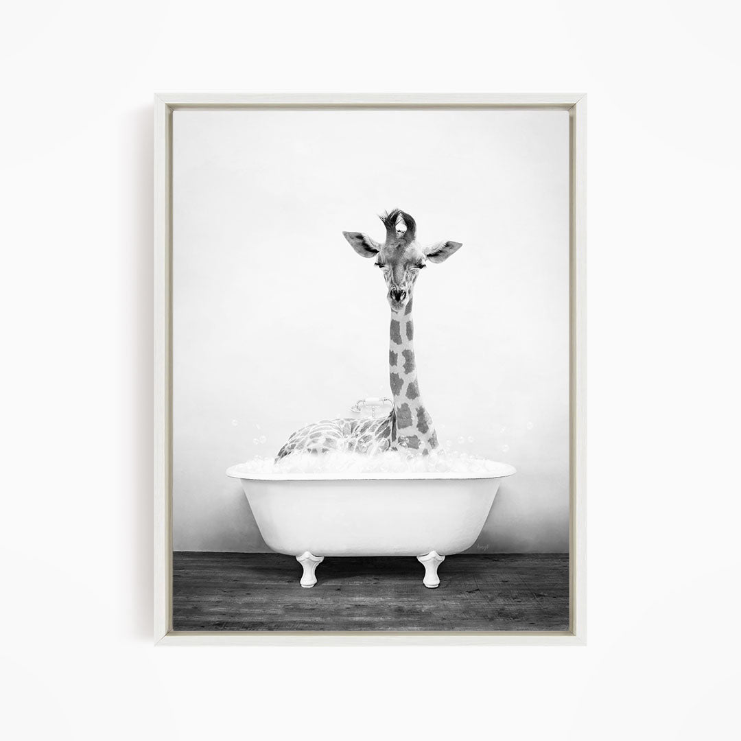 A giraffe sitting in a white bathtub filled with water, creating a whimsical and playful scene.