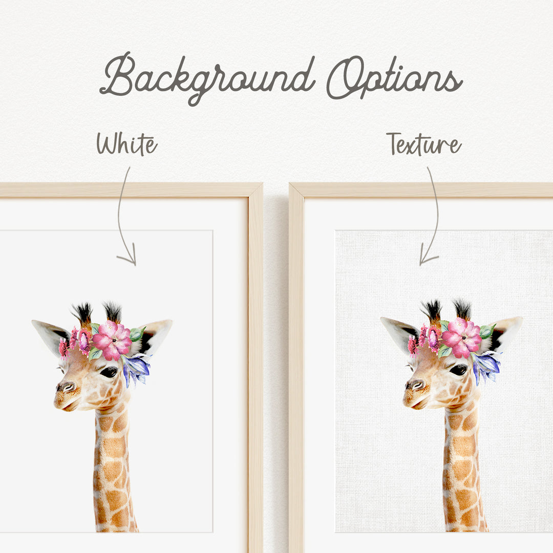 a giraffe with a floral headpiece, and there are two framed pictures of the giraffe with different backgrounds.